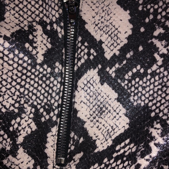 Snake Skin Pants from Urban Outfitters! - Picture 4 of 5